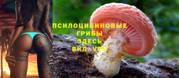 дурь Горно-Алтайск