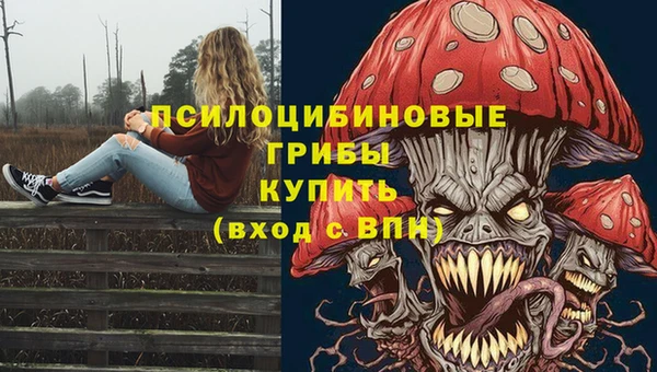 прущая мука Горняк